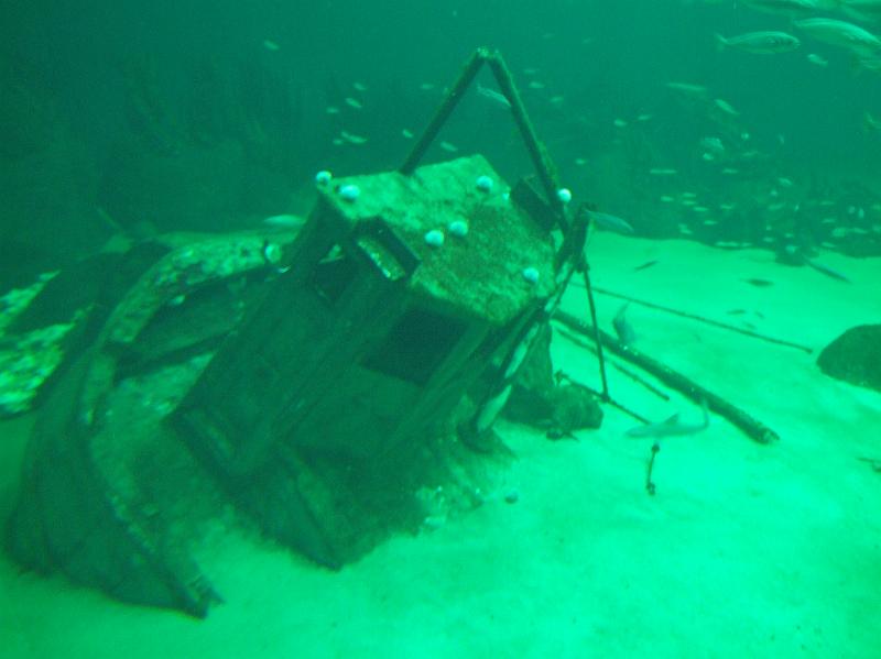 Sofia i  Oceaniariet 030.jpg